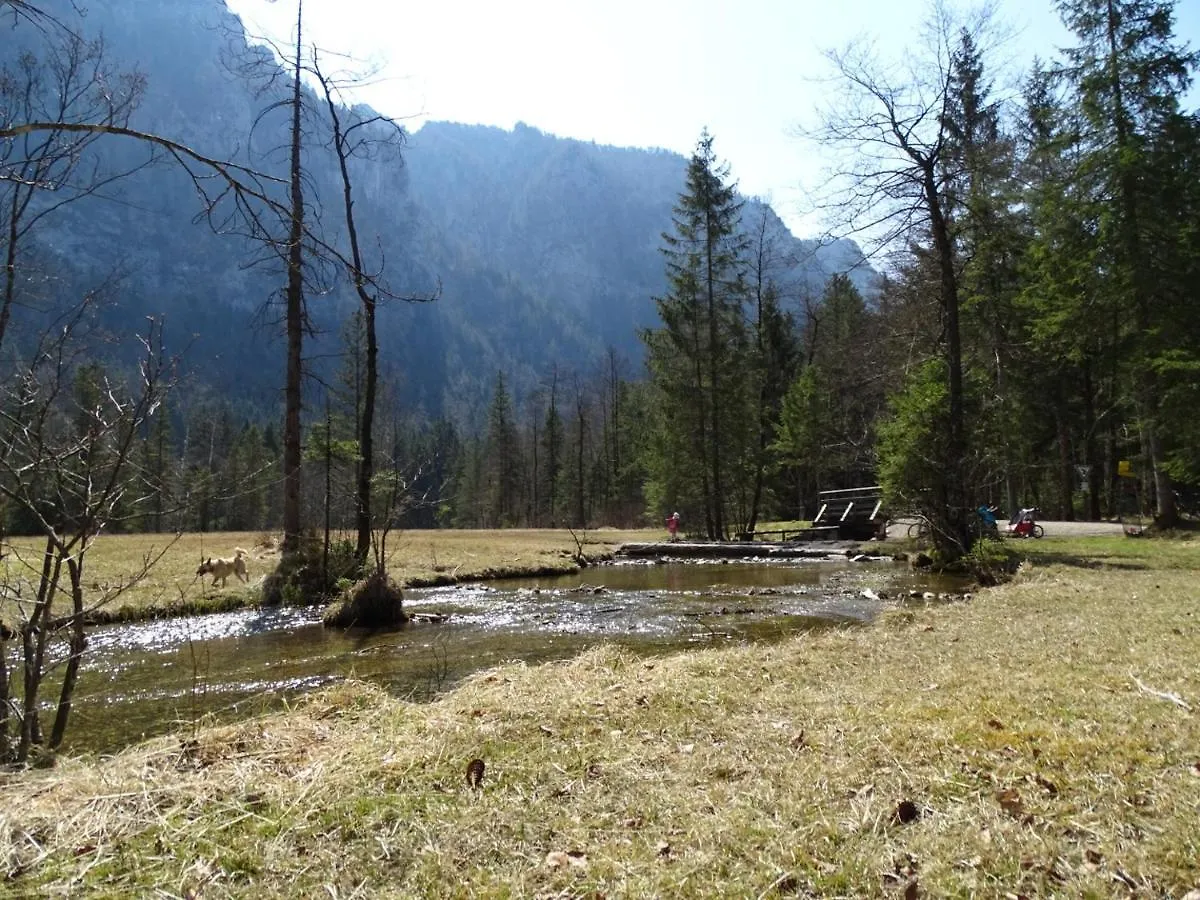 Ferienhaeuschen Lejlighed Inzell