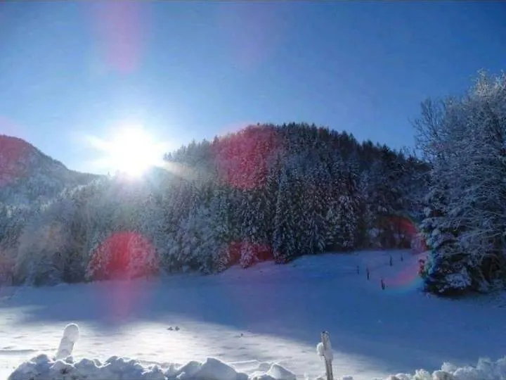 Ferienhaeuschen Lejlighed Inzell